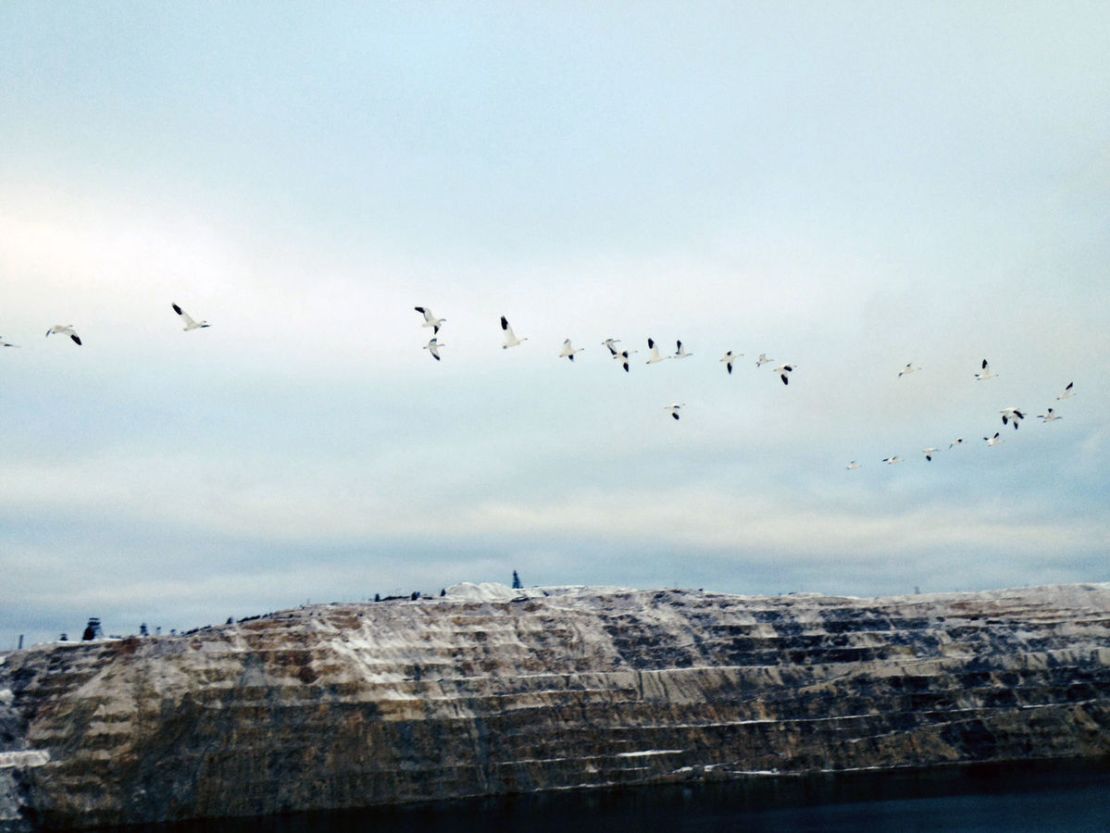 Snow geese leave the Berkeley Pit.