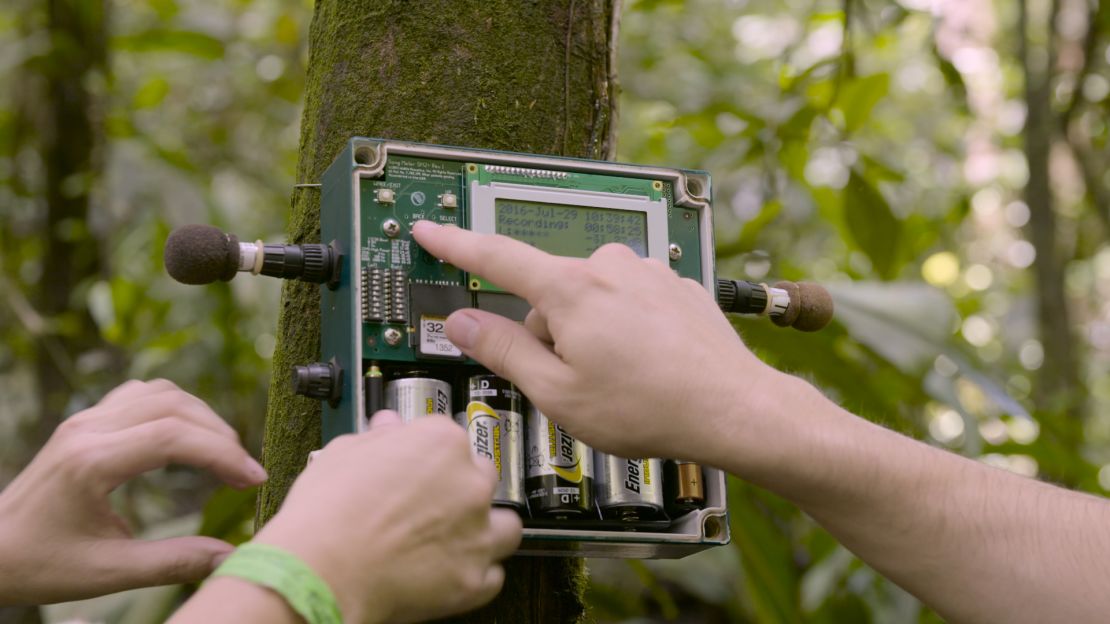 Researchers have installed microphone sensors in the rainforeset to listen for the sound of extinction.