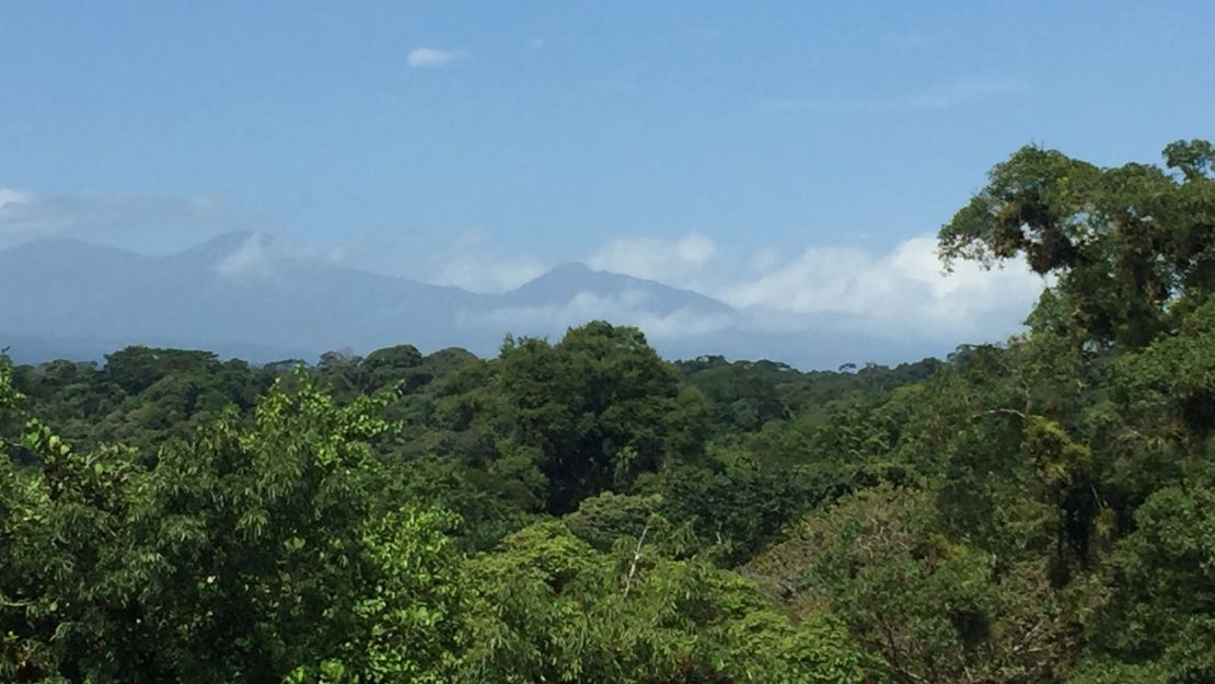 A view from the forest canopy at La Selva Biological Station in Costa Rica.
