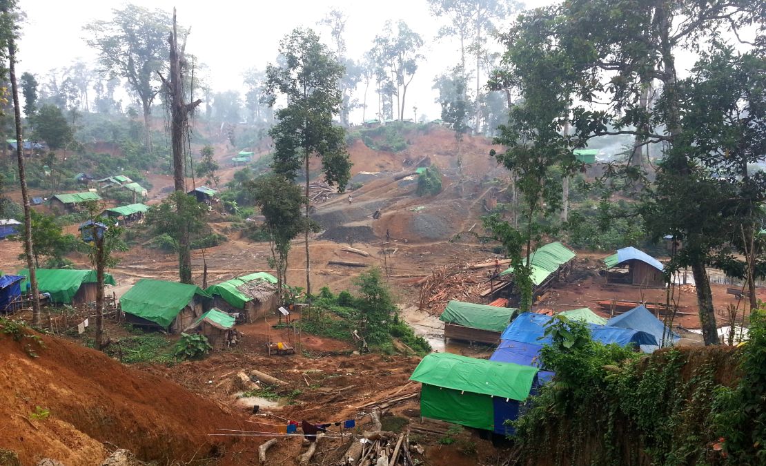 The amber field in Myanmar where the amber containing the dinosaur tail was  found. 