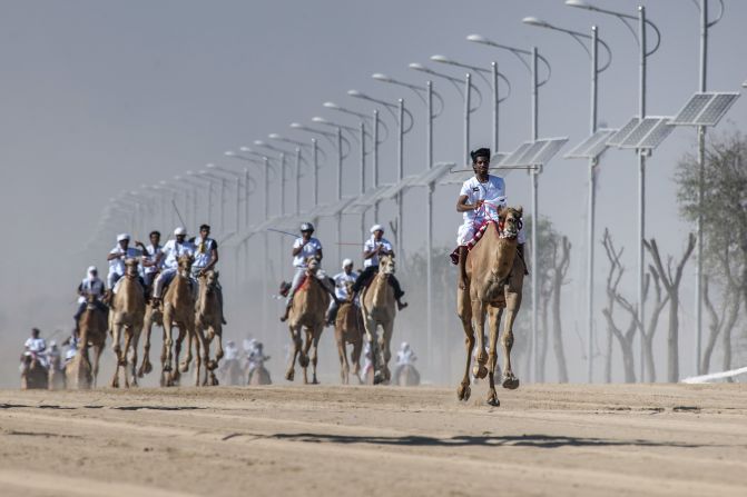 The marathon stretches 15 miles (25km) across the desert -- making it the longest camel race in the United Arab Emirates.