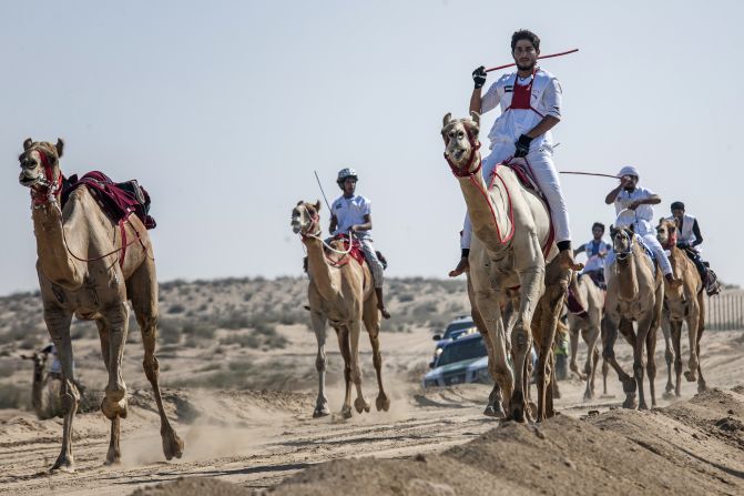 The winner of this year's National Day Camel Marathon took home a luxury car.