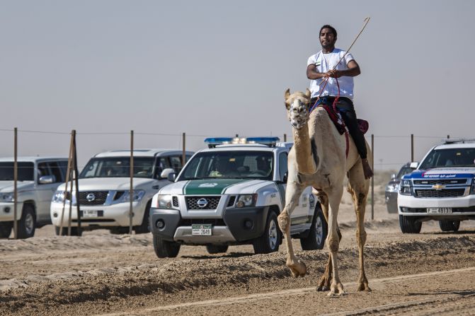 Winner Al Hammadi, who has been riding since age 8, says his connection with his camel is the key to his success.