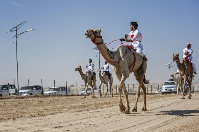 Camel racing dates back to the 7th century, and is one of the oldest still-practiced traditions in the Middle East.