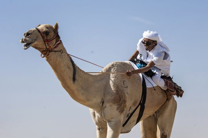 The marathon was part of the National Day celebrations, which showcased traditional Emerati sports, including falconry and hunting.