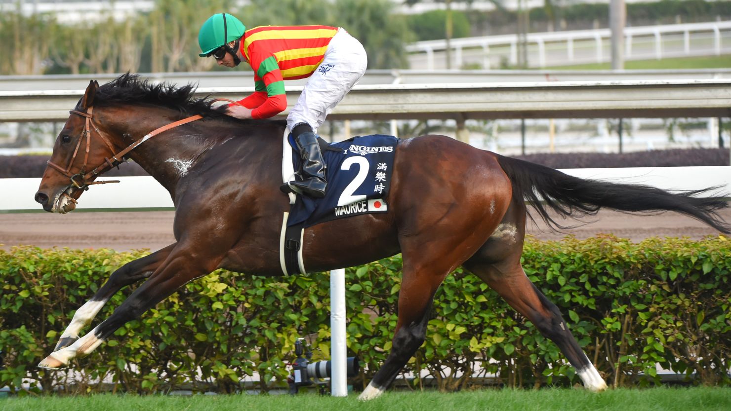 Ryan Moore rides Maurice to victory in the Longines Hong Kong Cup at Sha Tin Racecourse.