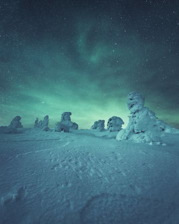 If they're lucky, visitors may also catch a glimpse of the Northern Lights, a spectacular natural light display occurring in Arctic regions.