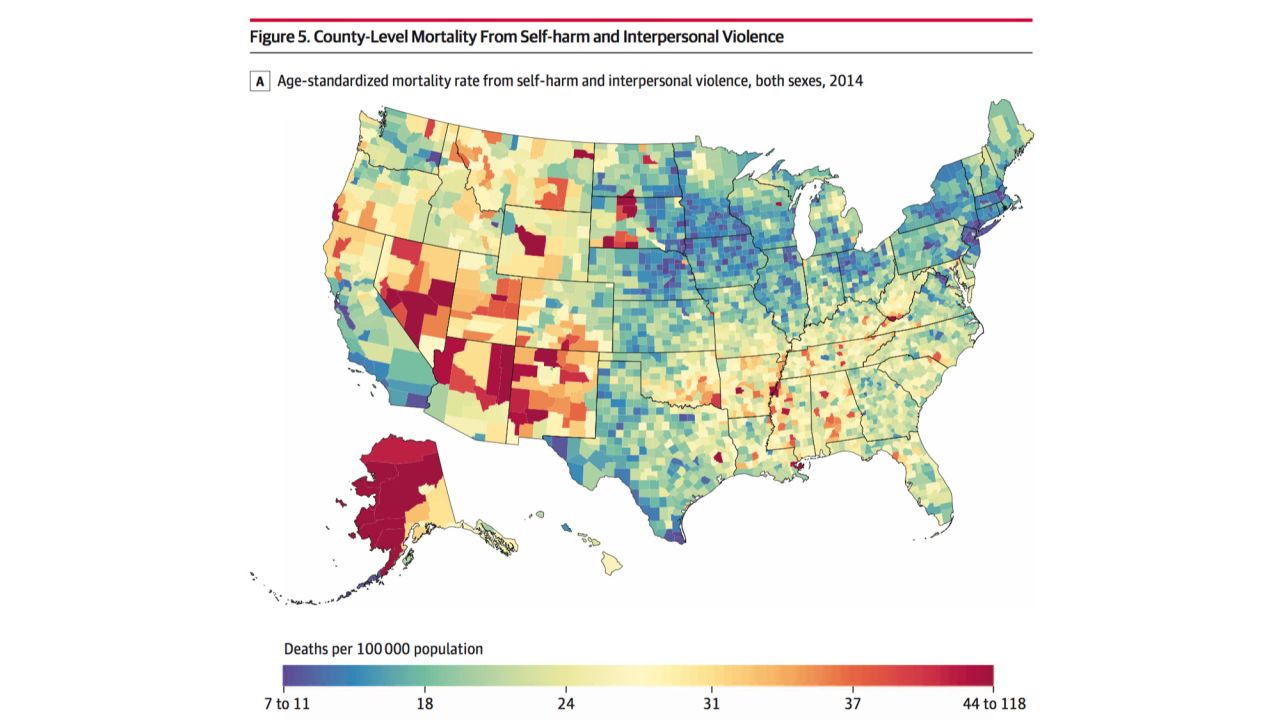 High mortality rates due to self-harm and interpersonal violence were observed in counties in Alaska, such as Kusilvak Census Area in Alaska; Native American reservations in North Dakota and South Dakota; and in states in the Southwest.