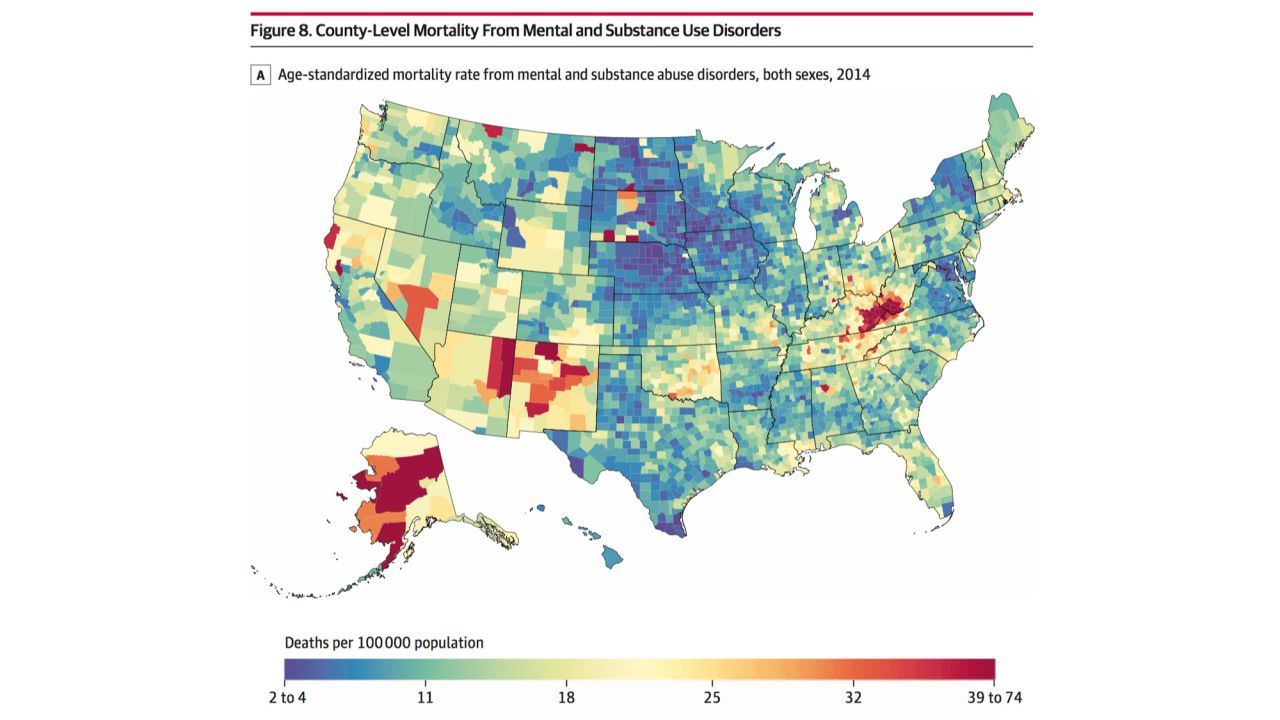 Counties in Kentucky, West Virginia, Ohio, Indiana, western Pennsylvania and east-central Missouri saw mortality rates rise for deaths due to mental and substance use disorders.