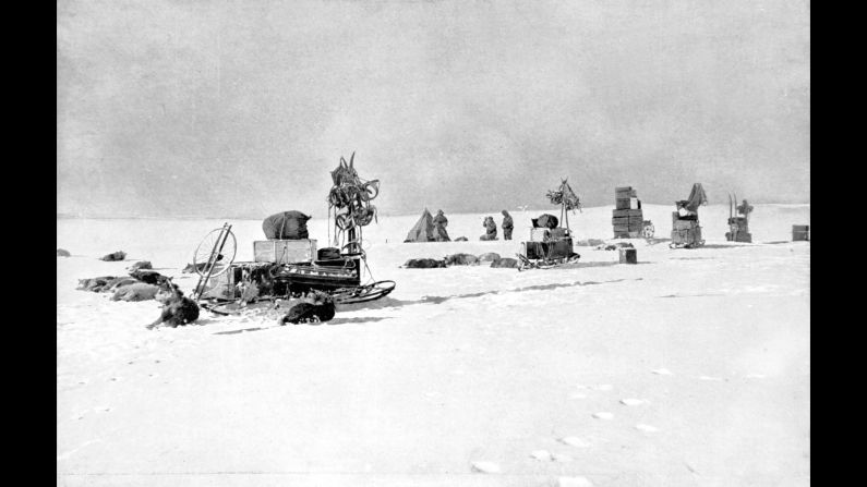 Some of Amundsen's dogs rest at a supply depot. Prior to the final journey, each team had made long treks along their intended paths to drop off supplies at regular intervals. Amundsen's supply depots were stocked with much more food and fuel, and the intervals were more consistent. They were also easier to find because black flags were placed on both sides of the depot along with distance and directions to the depot -- just in case the team got a little off-track and needed to adjust course. Scott's depots had only one flag.