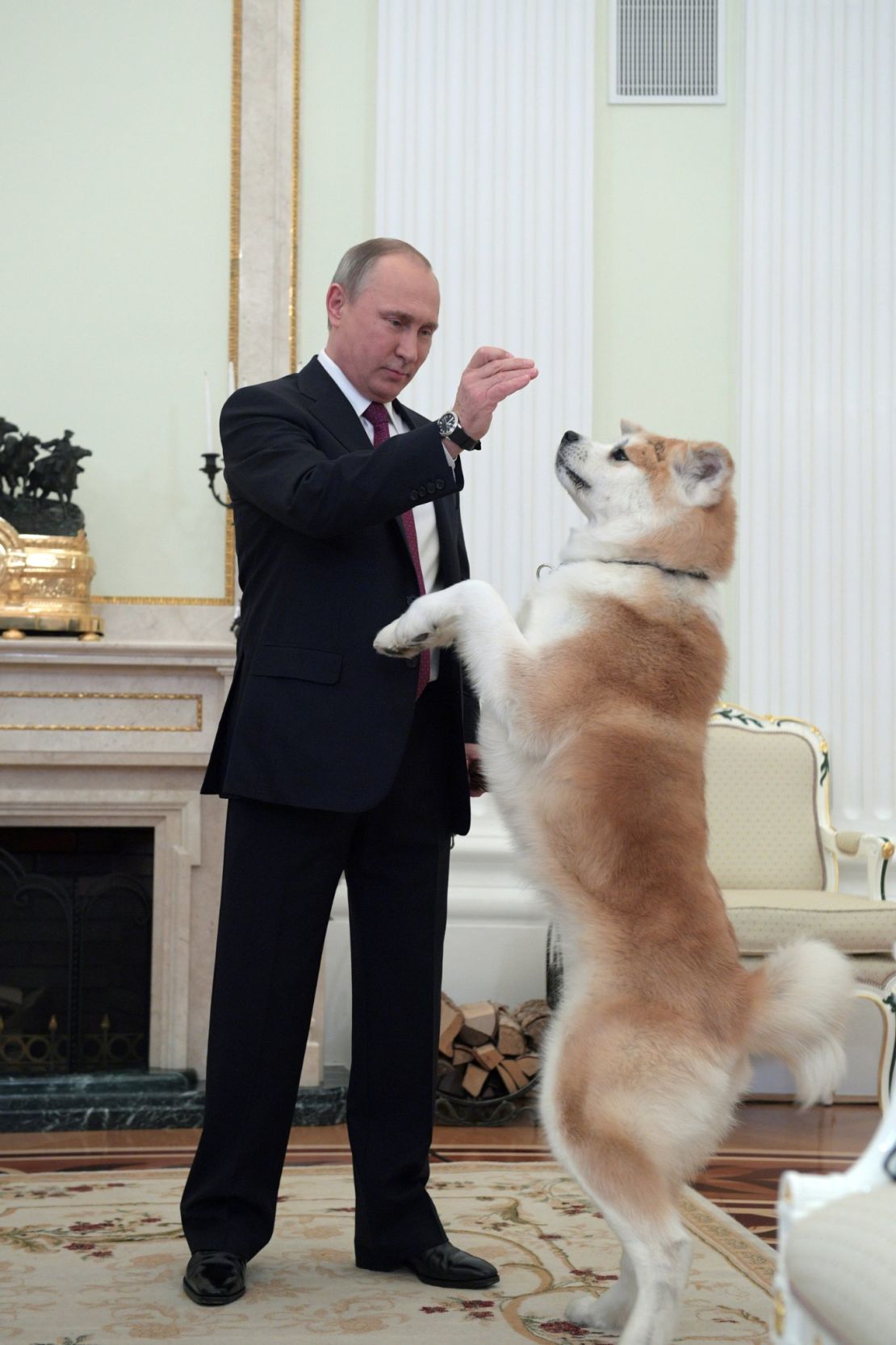 Russian President Vladimir Putin plays with his dog Yume prior to an interview with Japanese media.