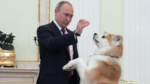 Russian President Vladimir Putin plays with his dog Yume prior to an interview with Japanese media.