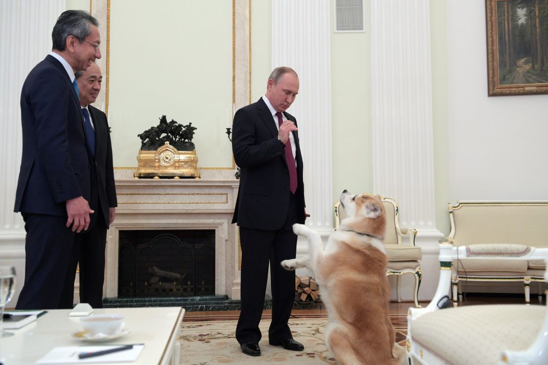 Putin plays with his dog Yume before an interview with Japanese media.
