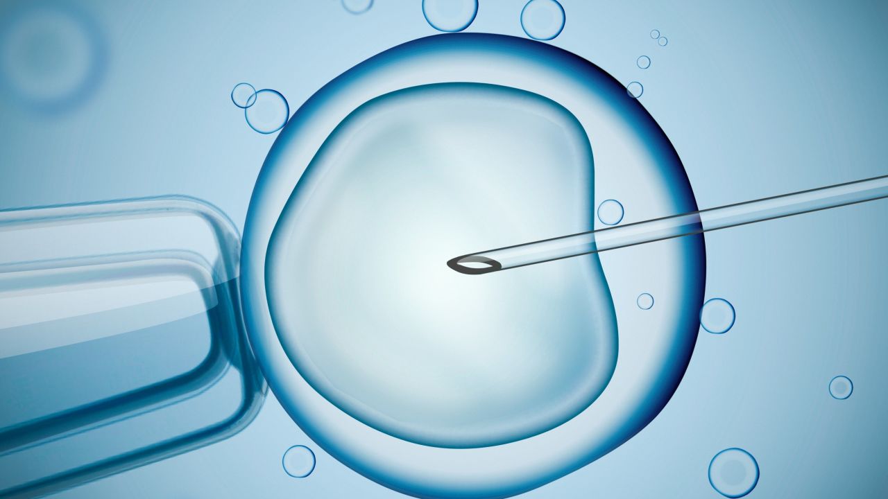 An illustration representing the IVF process.