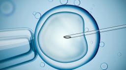 An illustration representing the IVF process. 