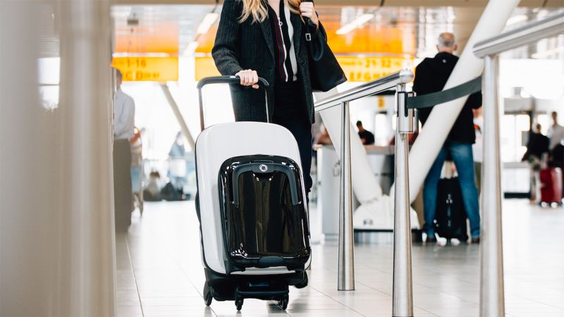 Bugaboo hotsell luggage system