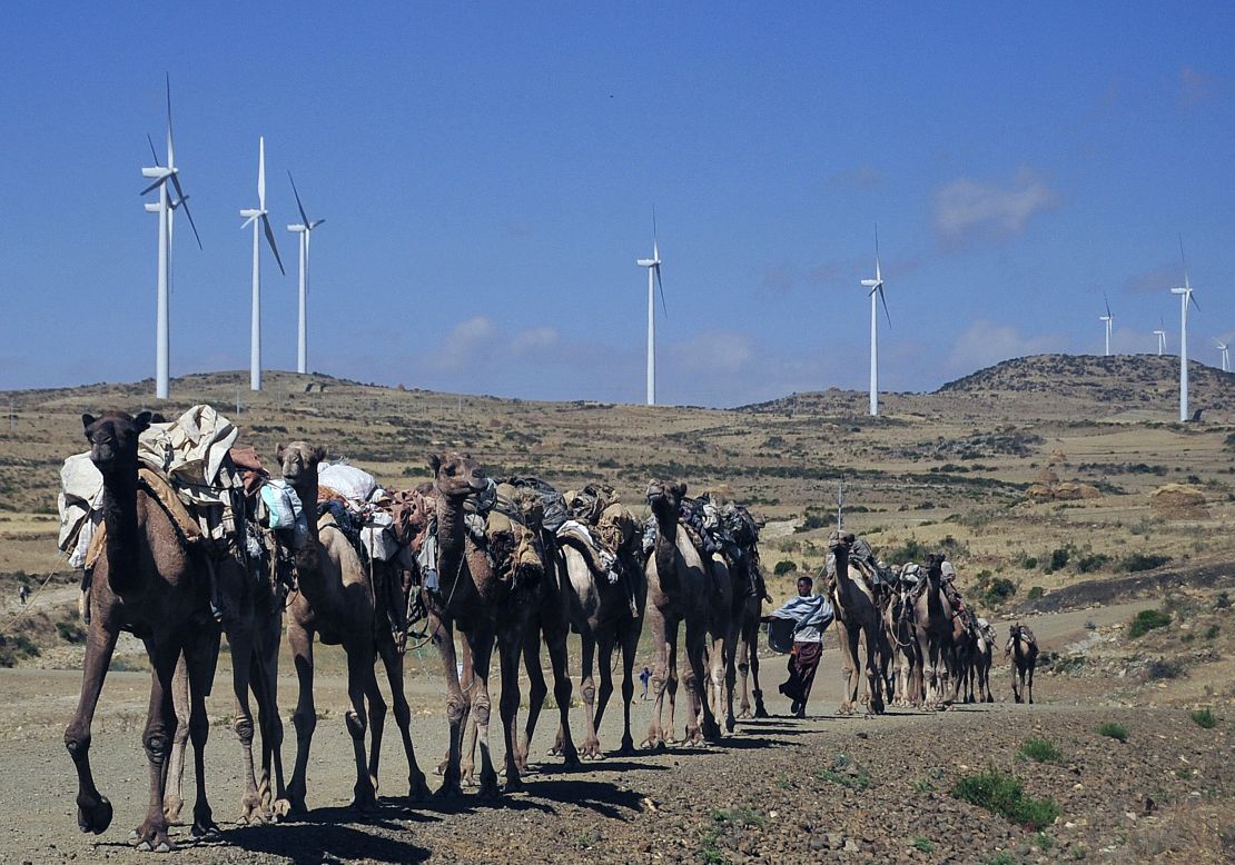 Camels walk along the road near turbines at Ashegoda wind farm in Ethiopia's northern Tigray region. 