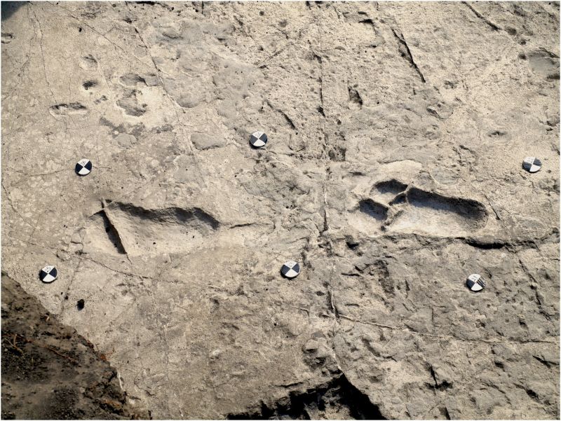 Pre-human Footprints Give Mating Clues | CNN