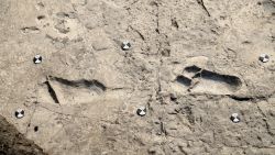 Footprints of a pre-human were discovered in Tanzania
