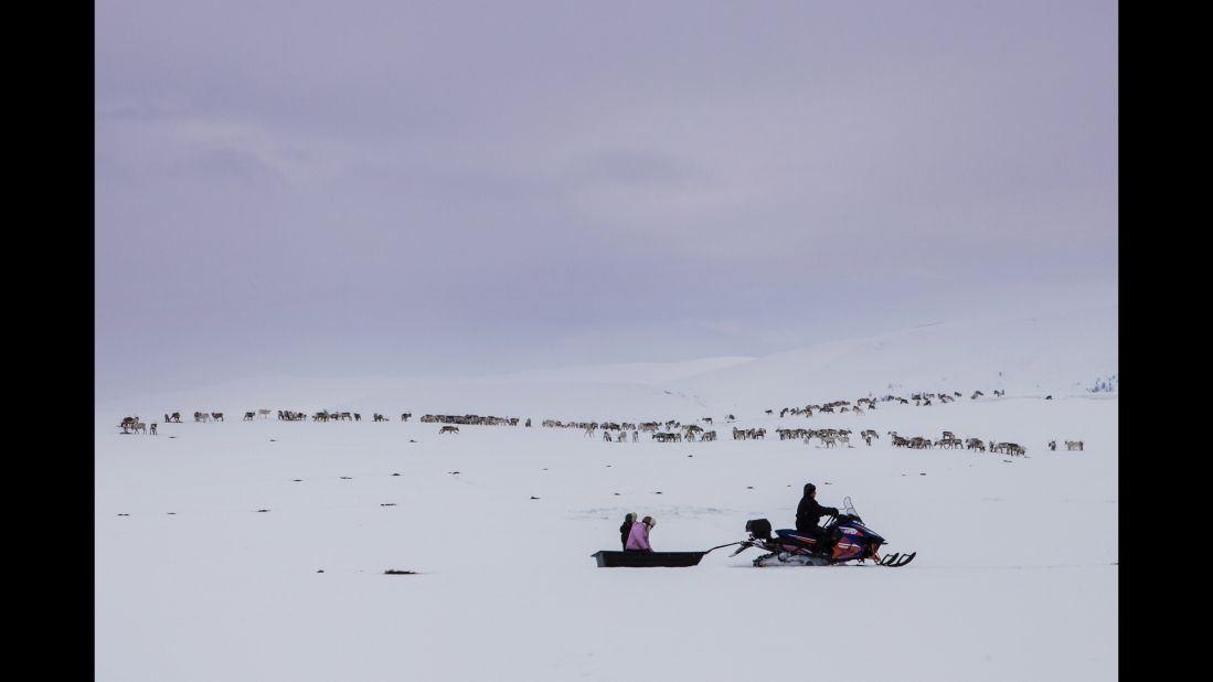 A Sami herder and his family bring food for the reindeer as they travel near Karasjok, Norway.
