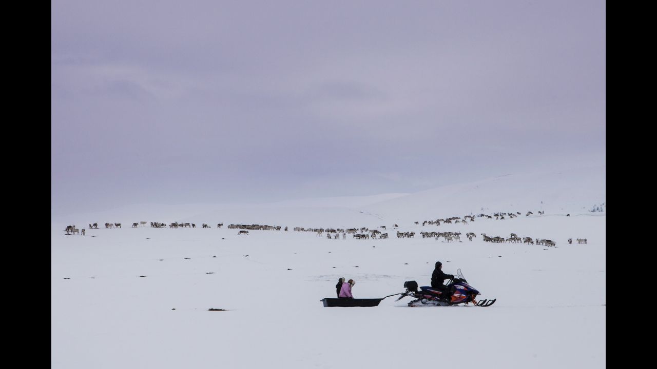 A Sami herder and his family bring food for the reindeer as they travel near Karasjok, Norway.