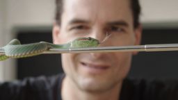 For nearly 30 years, a London-based musician has been injecting himself with snake venom -- an activity that he took up as a teen out of sheer curiosity, to see how his body would react. But now, he's hoping that a team of Danish scientists can help put his hobby to good use by developing a new type of anti-venom for snake bite victims.