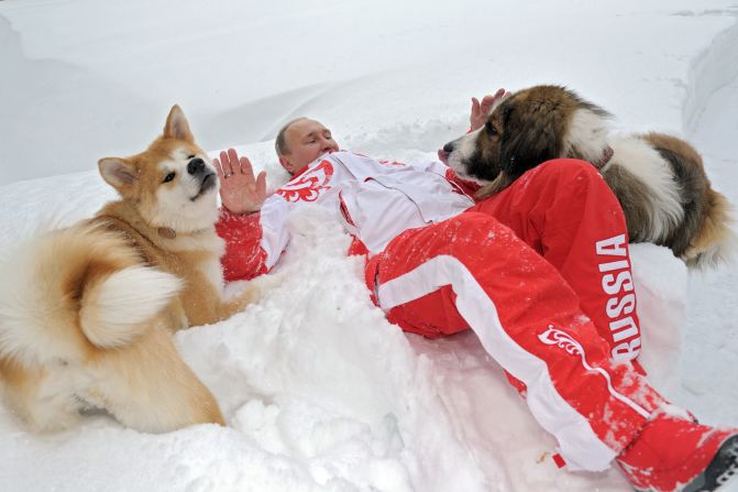 Putin plays with his dogs 'Buffy', right, and 'Yume' at his residence Novo-Ogariovo, outside Moscow, on March 24, 2013.