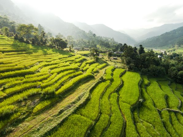 The Pavilions resort has its own organic farm, the produce from which supplies its restaurant.