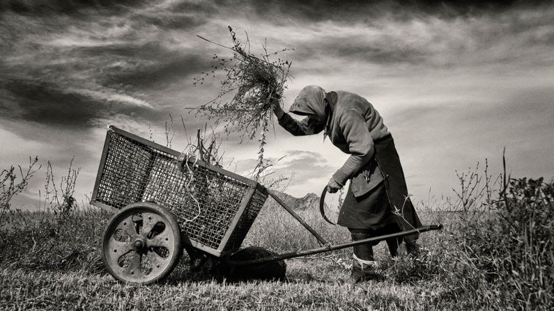 "This elderly woman was cutting grass from a small plot to feed her livestock," says UK photographer Jeremy Woodhouse, who shot this image in Coltesti, Romania. Woodhouse took the best single image award in the Mankind portfolio category.