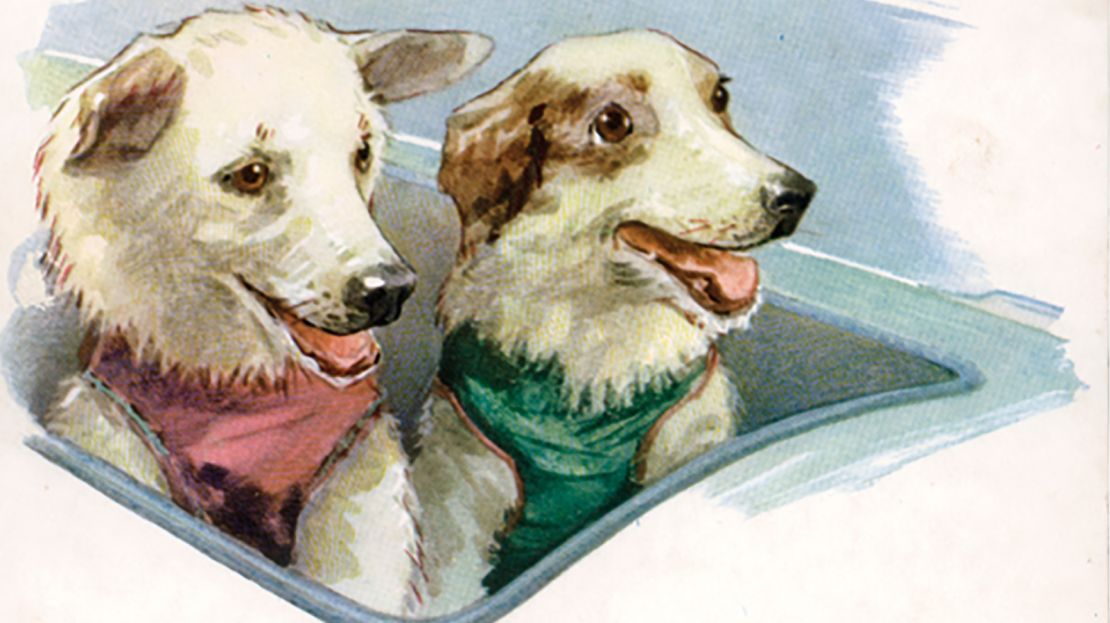 Russian space dogs Belka and Strelka immortalized on a postcard.