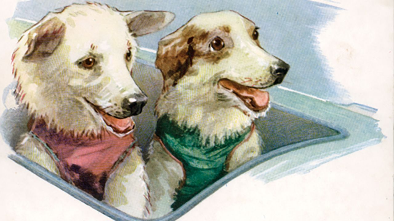 Russian space dogs Belka and Strelka immortalized on a postcard. 