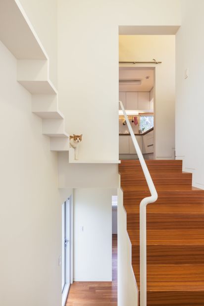 The cat and human stairwells stand side by side in this three-story house.