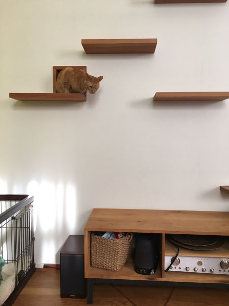 This nifty nook in the wall, provides the pet cat a place to hide 