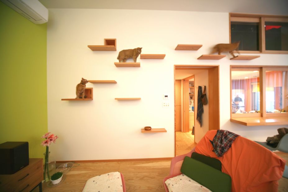 House Taishido is a three-story house in Tokyo, designed by Key Operation architects. The designers built a jungle-gym like shelving system on one wall where the owners' pet cat could jump and play. 