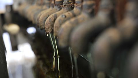 Filtering croton oil