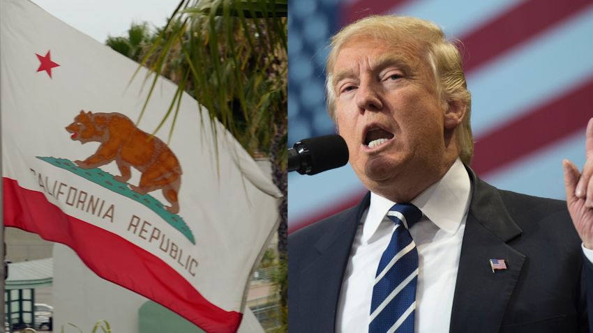 Donald Trump California Flag Split