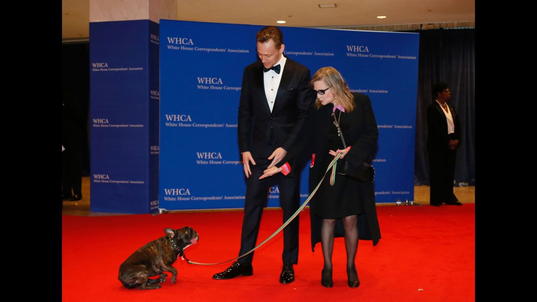 Tom Hiddleston looks on as Fisher and her dog, Gary, arrive for the 102nd White House Correspondents' Association dinner in Washington on April 30, 2016.
