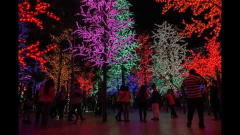 Visitors take pictures of Christmas trees illuminated by LED lights on Christmas Eve in Shah Alam, outside Kuala Lumpur, Malaysia.