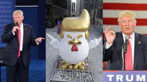Donald Trump rooster