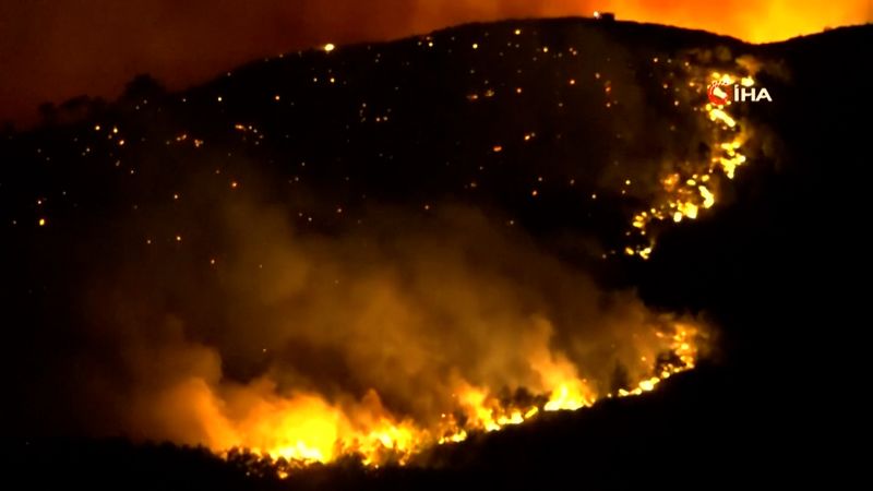 More than 50,000 people evacuated as wildfires rage in Turkey