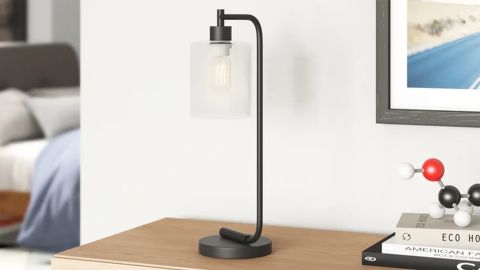 17 Stories Kazuhiko 19-inch Desk Lamp
