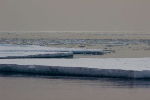 <strong>Melting sea ice:</strong> As temperatures rise and the sea ice weakens, the sea ice eventually breaks up into ice floes and gets carried north where it eventually melts. During January or February the ice in front of McMurdo Station can break up and disappear in less than a day.