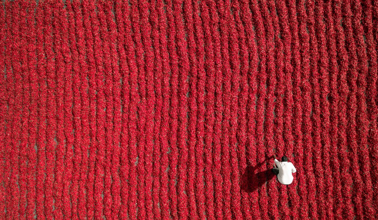 <strong>Red chili farmer: </strong>Based in Guntur, India, Dronestagram user Aurobird submitted this picture of a farmer in a field of red chilies. 
