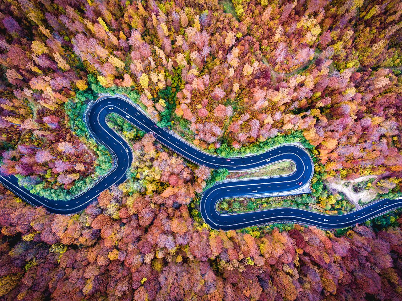<strong>Coolest drone photos of 2016: </strong>The team behind Dronestagram, an image sharing website for drone photographers, handpicked 20 best shots taken and submitted by its users last year. Here's a stunning picture of Bogata Forest, Romania, taken by Bucharest-based dronist Calin Stan.