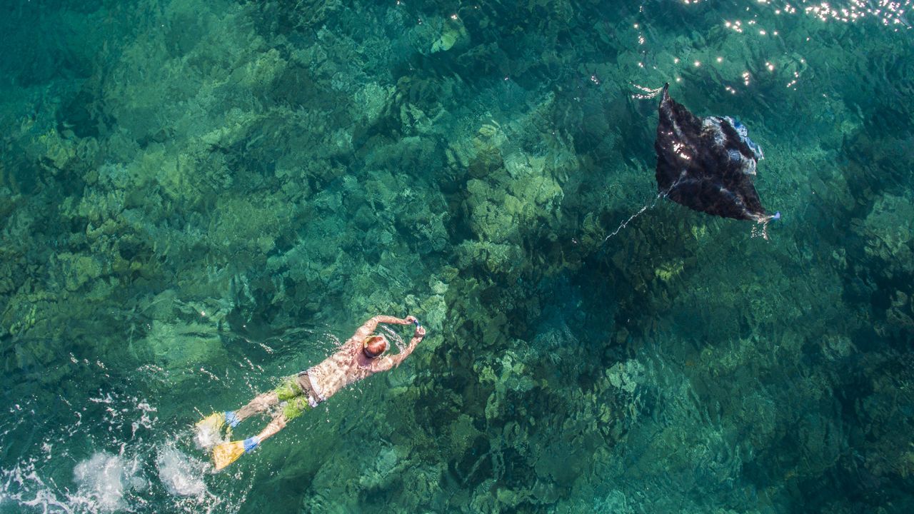 <strong>Yasawa island, Fiji: </strong>Skydiver and drone enthusiast Colin Aitchison, otherwise known as Droneworks NZ, took this picture of a snorkeler following a manta ray in the pristine ocean by the Yasawa Islands, Fiji.