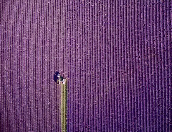 <strong>Lavender fields:</strong> Photographer Jerome Courtial visited Valensole in Provence to capture the French region's classic lavender fields from a fresh angle. "I knew this was harvest season so I looked for tractors and waited patiently until some started to harvest in a pattern that would create a pleasing composition from above," the photographer says.