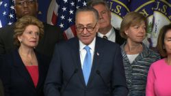 Sen. Chuck Schumer (D-NY) addresses the media about the Democrats' plan to keep Obamacare