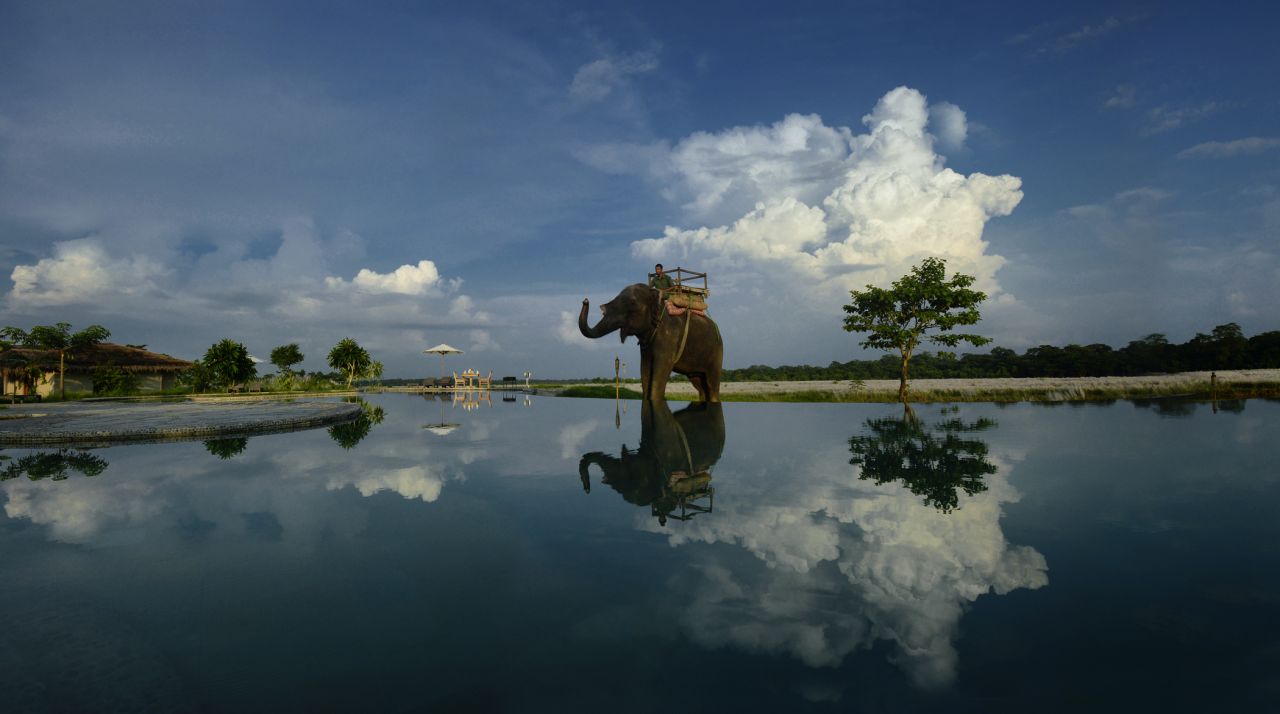 The lodge has its own elephants, which guests can interact with.