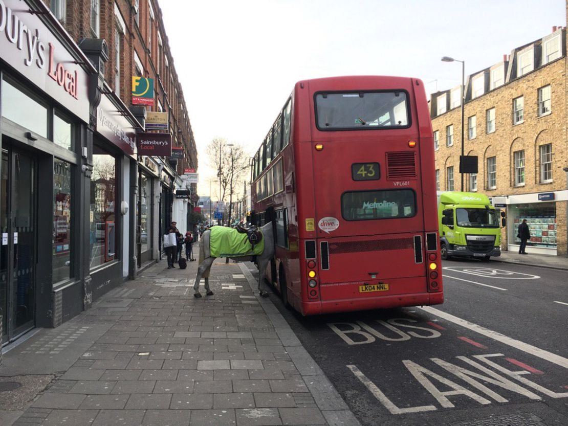 horse bus london 2