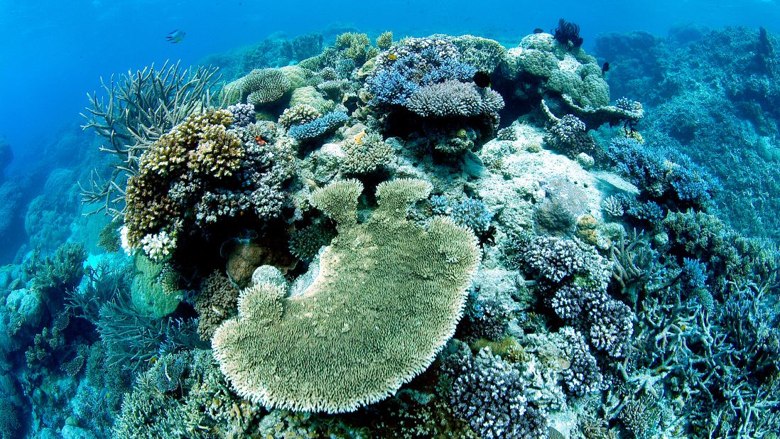 <strong>Great Barrier Reef, Australia -- </strong>The time to visit may be now. One of the world's most stunning natural wonders, the Great Barrier Reef has suffered from a significant die-off of its coral, according to 2016 reports. 